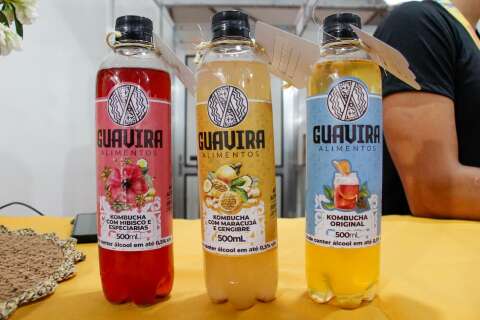 Varanda virou f&aacute;brica de kombucha e amigos sonham vender de guavira