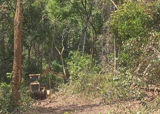 Brigadistas passam a madrugada combatendo fogo no Parque do Taquari