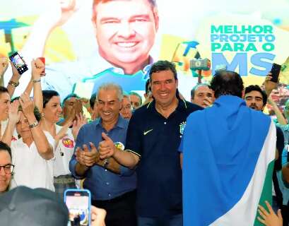 PP e PL dividem &quot;esp&oacute;lio&quot; tucano ap&oacute;s sa&iacute;da de Riedel e Reinaldo