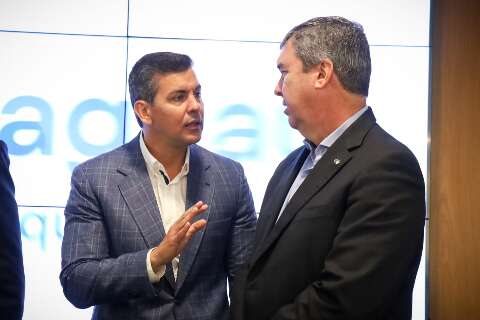 Proibi&ccedil;&atilde;o de importa&ccedil;&atilde;o de armas no Paraguai melhora seguran&ccedil;a em MS, diz Riedel