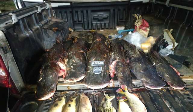 PMA apreende pescado ilegal e autua quatro pessoas por crime ambiental