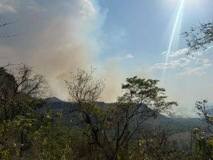 Inc&ecirc;ndio no Parque do Taquari tem 8 focos e prefeitura vai decretar emerg&ecirc;ncia