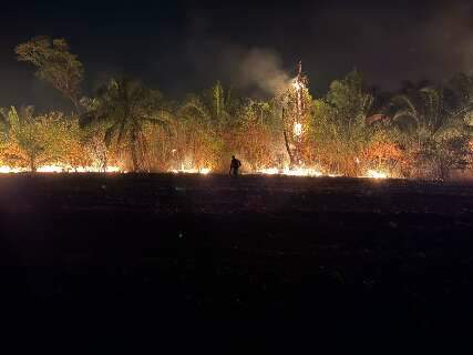 Inc&ecirc;ndio volta a se espalhar e amea&ccedil;a novamente Parque das Nascente do Taquari