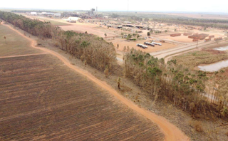 Usina &eacute; multada em R$ 12 milh&otilde;es por inc&ecirc;ndio em canavial e eucaliptos 