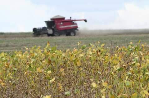 Mato Grosso do Sul inicia plantio da maior safra de soja da hist&oacute;ria