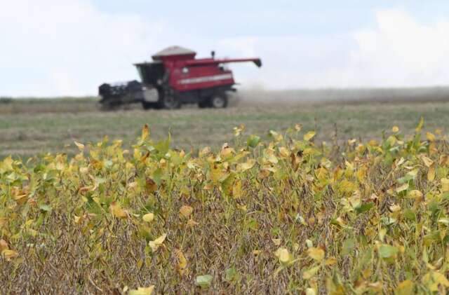 Mato Grosso do Sul inicia plantio da maior safra de soja da hist&oacute;ria