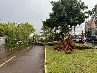 Frente fria chega com vento de 51 km por hora e chuva na regi&atilde;o sul