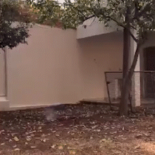 Policiais explodem granada encontrada por morador em pote de sorvete