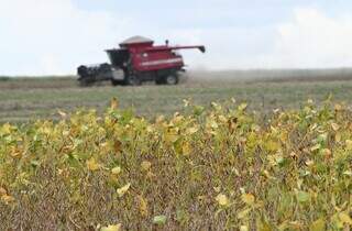 Mato Grosso do Sul inicia plantio da maior safra de soja da hist&oacute;ria