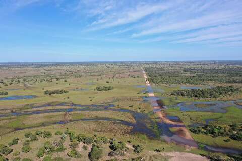 On&ccedil;a em local onde pe&atilde;o foi atacado indica equil&iacute;brio ambiental, diz bi&oacute;logo