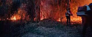 Inc&ecirc;ndio no Parque do Taquari j&aacute; destruiu 9 mil hectares e avan&ccedil;a para nova &aacute;rea