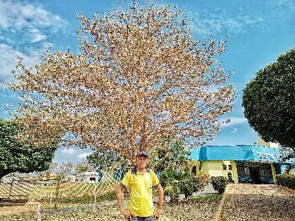 Apaixonado por &aacute;rvores, Manoel transformou hospital plantando ip&ecirc;s