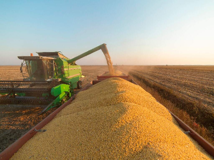 Plantio da soja avan&ccedil;a devagar e cobre menos de 4% da &aacute;rea em MS