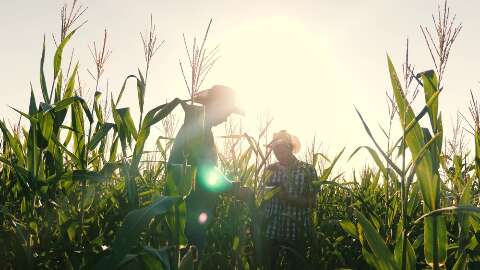 Governo cria plano de renegocia&ccedil;&atilde;o e d&aacute; novo f&ocirc;lego ao agroneg&oacute;cio
