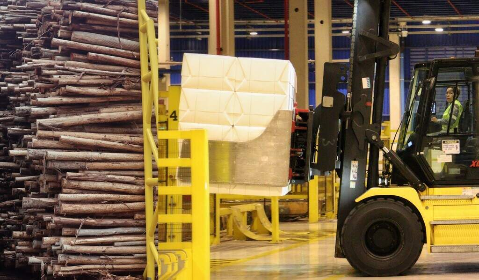 Com celulose na lideran&ccedil;a, MS alcan&ccedil;a super&aacute;vit de US$ 6,34 bilh&otilde;es