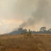 Inc&ecirc;ndio no Parque do Taquari j&aacute; destruiu 9 mil hectares e avan&ccedil;a para nova &aacute;rea