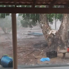 Taquari: Chuva traz al&iacute;vio, mas inc&ecirc;ndio j&aacute; destruiu 16,2 mil hectares