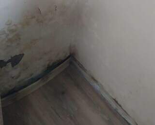 Erro em obra do vizinho sai caro: Justi&ccedil;a manda indenizar e refor&ccedil;a deveres