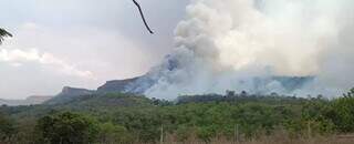 Inc&ecirc;ndio no Parque do Taquari j&aacute; destruiu 9 mil hectares e avan&ccedil;a para nova &aacute;rea