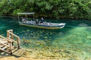MS marca presen&ccedil;a na maior feira nacional do turismo