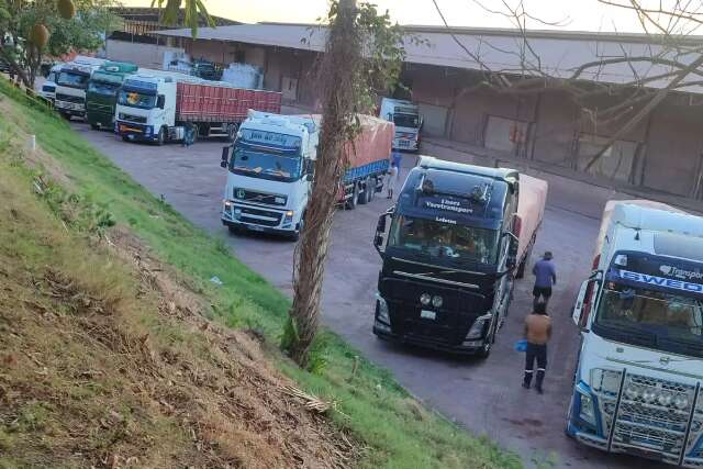 Problema no Ibama trava libera&ccedil;&atilde;o de madeira boliviana na fronteira h&aacute; tr&ecirc;s dias