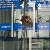 Fezes s&atilde;o espalhadas na entrada de ag&ecirc;ncia banc&aacute;ria da Av. Afonso Pena