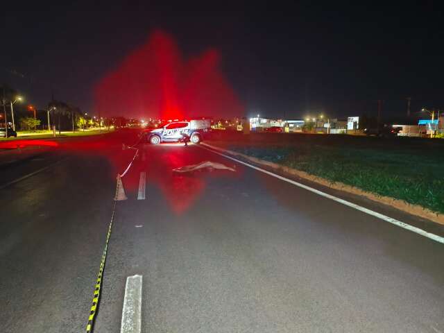 Vigia morre ao ser atropelado por caminh&atilde;o com quase 5 mil frangos