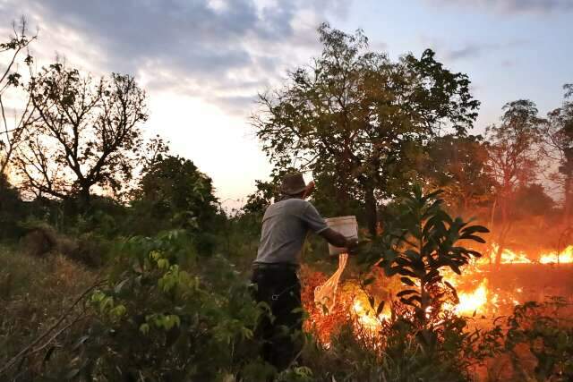 Fogo atinge vegeta&ccedil;&atilde;o e amea&ccedil;a Comunidade Esperan&ccedil;a