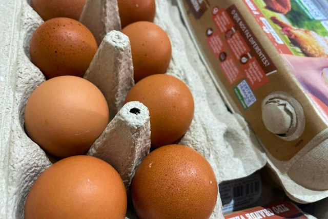 No Dia Mundial do Ovo, MS celebra produção de 2,3 mil toneladas