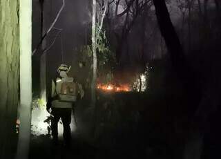 Inc&ecirc;ndios completam 12 dias com mais de 20 mil hectares atingidos