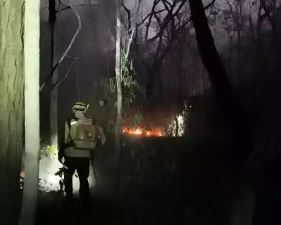 Inc&ecirc;ndios completam 12 dias com mais de 20 mil hectares atingidos