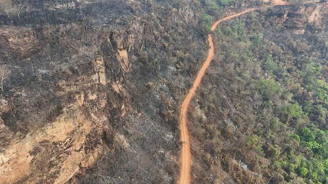  Inc&ecirc;ndio no Parque do Taquari continua ativo em &aacute;reas onde choveu pouco 