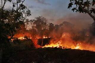 Estado cria comit&ecirc; executivo para coordenar a&ccedil;&otilde;es contra mudan&ccedil;as clim&aacute;ticas