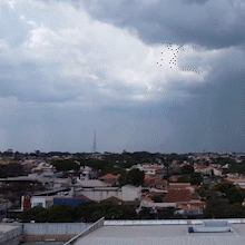 Com term&ocirc;metros marcando 33,8&deg;C, chuva traz al&iacute;vio para Campo Grande