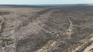  Inc&ecirc;ndio no Parque do Taquari continua ativo em &aacute;reas onde choveu pouco 
