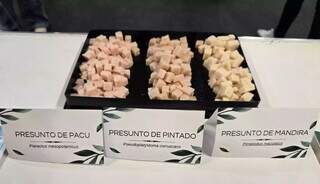 Estudantes criam presunto de peixe para valorizar pescado