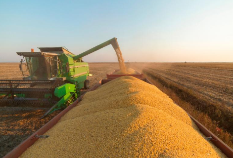  MS diversifica mercados, dribla tarifa&ccedil;o e garante super&aacute;vit comercial em 2025 