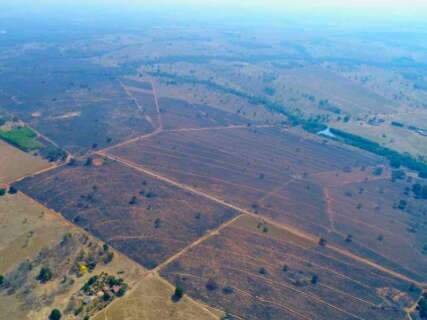Empresa &eacute; multada em R$ 3,9 milh&otilde;es por inc&ecirc;ndio que devastou 2 mil hectares