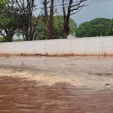 Chuva forte deixa avenida de cemit&eacute;rio alagada
