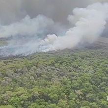 Fogo atinge a Ba&iacute;a Negra e j&aacute; consumiu quase 2 mil hectares no Pantanal