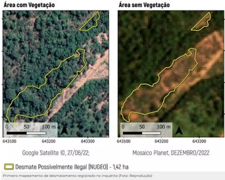 Vin&iacute;cola assina acordo para recuperar &aacute;rea ap&oacute;s desmatar 1,82 hectare nativo