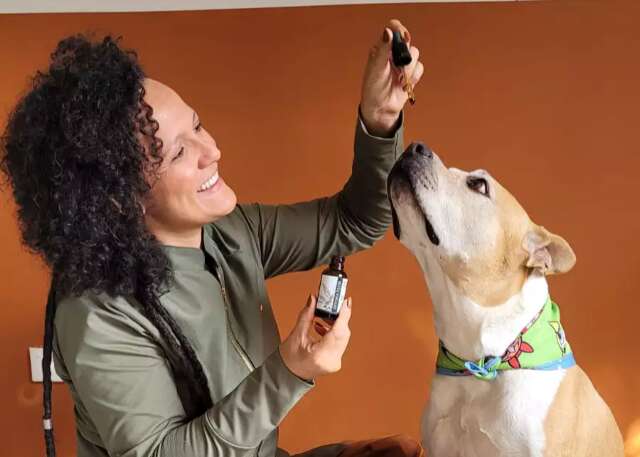 Evento em Campo Grande discute uso da cannabis medicinal para animais