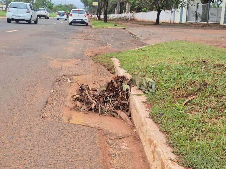 Campo Grande News
