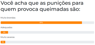 Enquete: 87% consideram que puni&ccedil;&otilde;es por queimadas s&atilde;o brandas