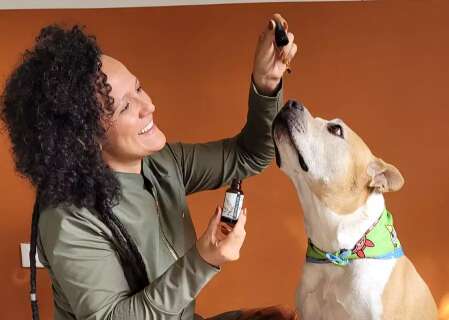 Evento em Campo Grande discute uso da cannabis medicinal para animais
