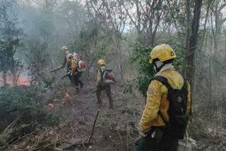 Al&eacute;m do fogo, brigadistas enfrentam pedras e longas caminhadas no Amolar