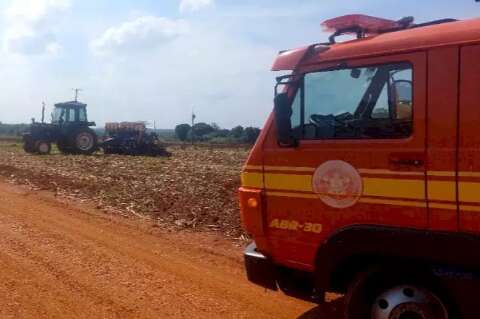 Trabalhador rural morre ap&oacute;s ataque de abelhas em F&aacute;tima do Sul