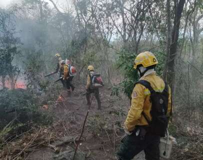 Al&eacute;m do fogo, brigadistas enfrentam pedras e longas caminhadas no Amolar