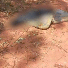 Corpo de homem &eacute; encontrado amarrado e enrolado em lona na fronteira