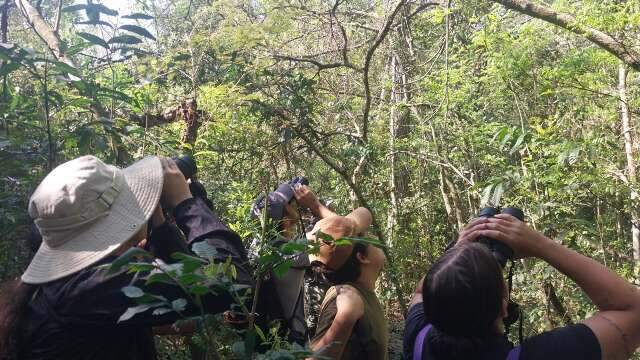 Estado fica no top 10 nacional de observa&ccedil;&atilde;o de aves no Global Big Day